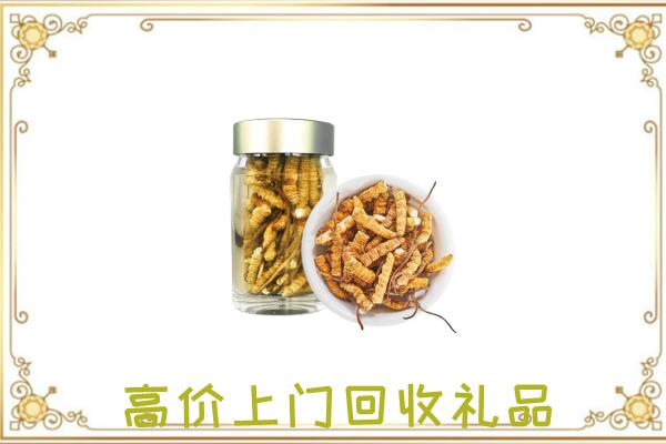 玉林周边回收虫草